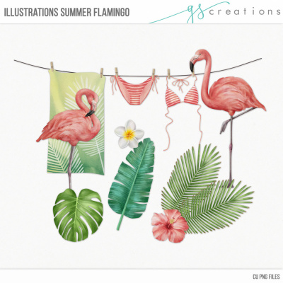 Summer Flamingo Illustrations