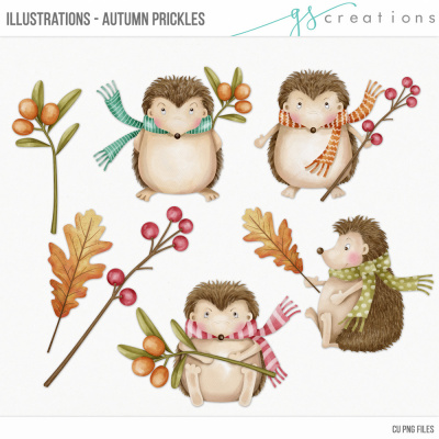 Autumn Prickles Illustrations