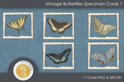 Speciman Cards Vintage Butterfly 01