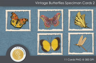 Speciman Cards Vintage Butterfly 02